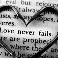 The Heart